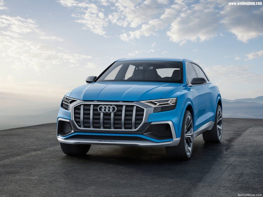 Audi-Q8_Concept-2017-1280-02.jpg