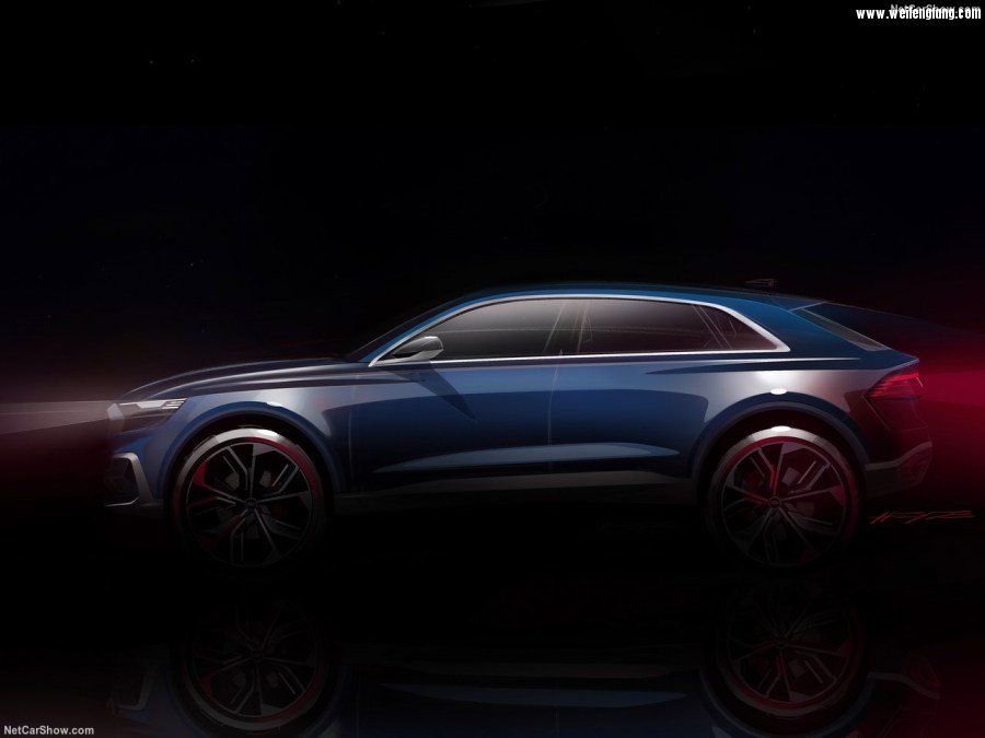 Audi-Q8_Concept-2017-1280-20.jpg