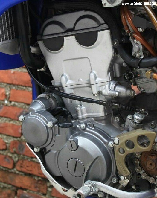 大摩摩2016-12-01 09.56.44.jpg