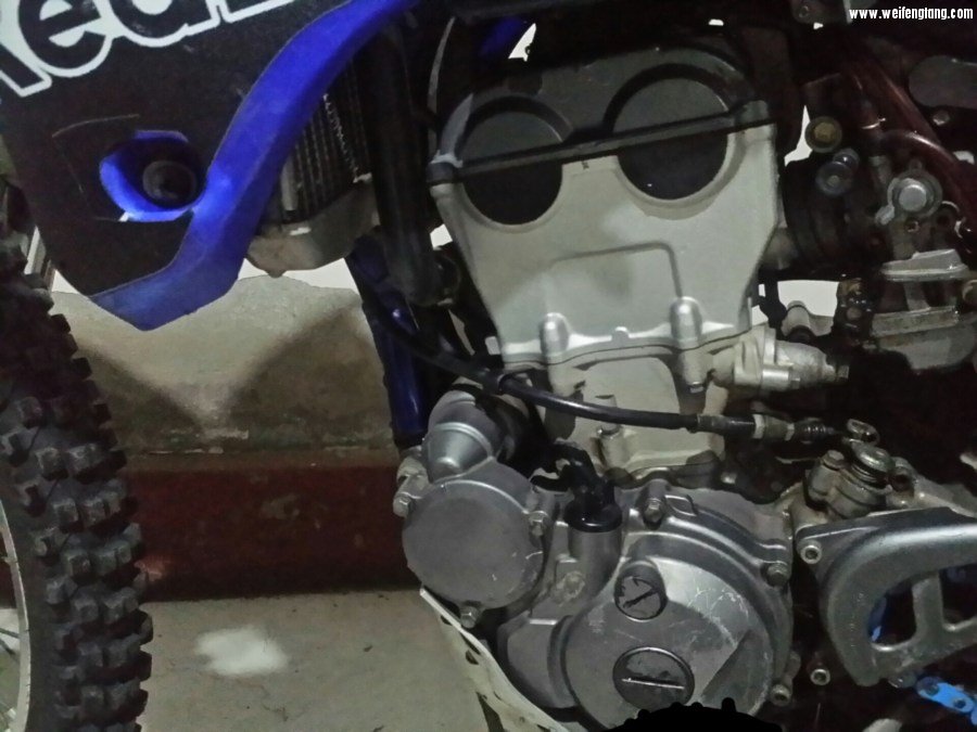 大摩摩2017-01-28 22.08.23.jpg