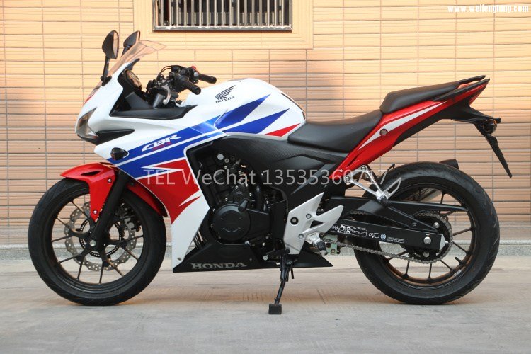 IMG_3837.jpg