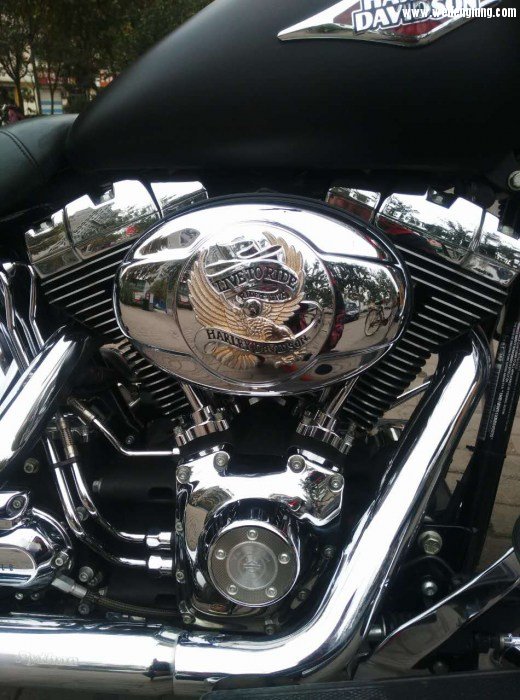 webwxgetmsgimg (19).jpg