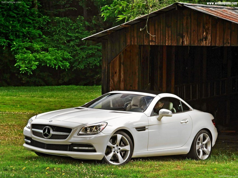Mercedes-Benz-SLK350-2012-1280-2f.jpg