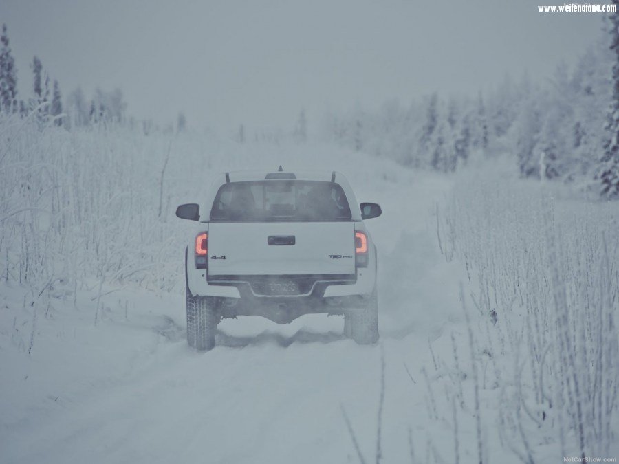 Toyota-Tacoma_TRD_Pro-2017-1280-19.jpg