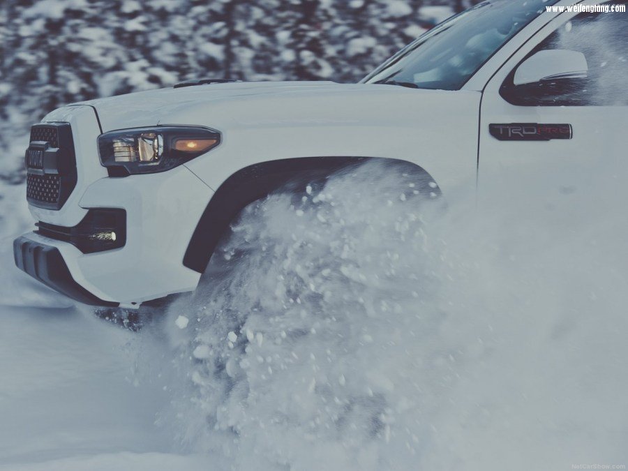 Toyota-Tacoma_TRD_Pro-2017-1280-25.jpg
