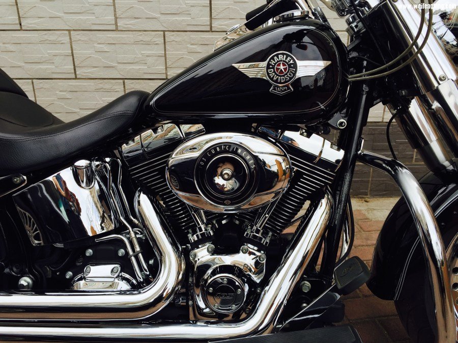 IMG_3928 （已编辑）.JPG