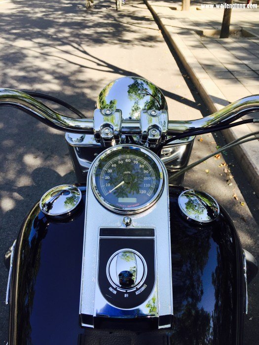 IMG_1564 （已编辑）.JPG