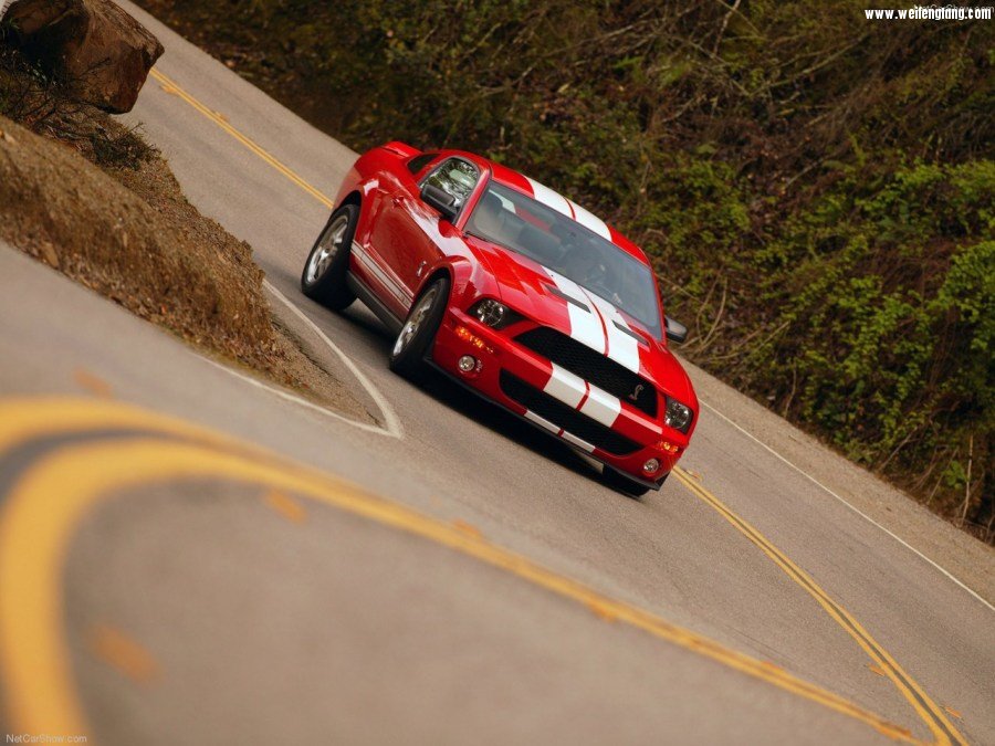 Ford-Mustang_Shelby_GT500-2007-1280-08.jpg