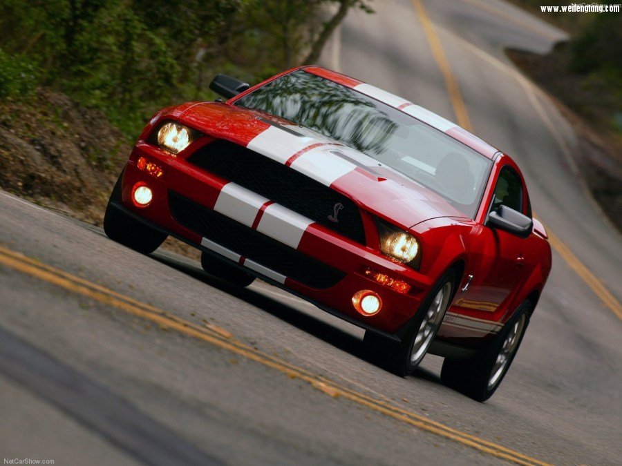 Ford-Mustang_Shelby_GT500-2007-1280-0a.jpg