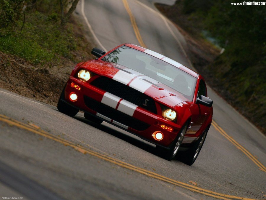 Ford-Mustang_Shelby_GT500-2007-1280-0b.jpg