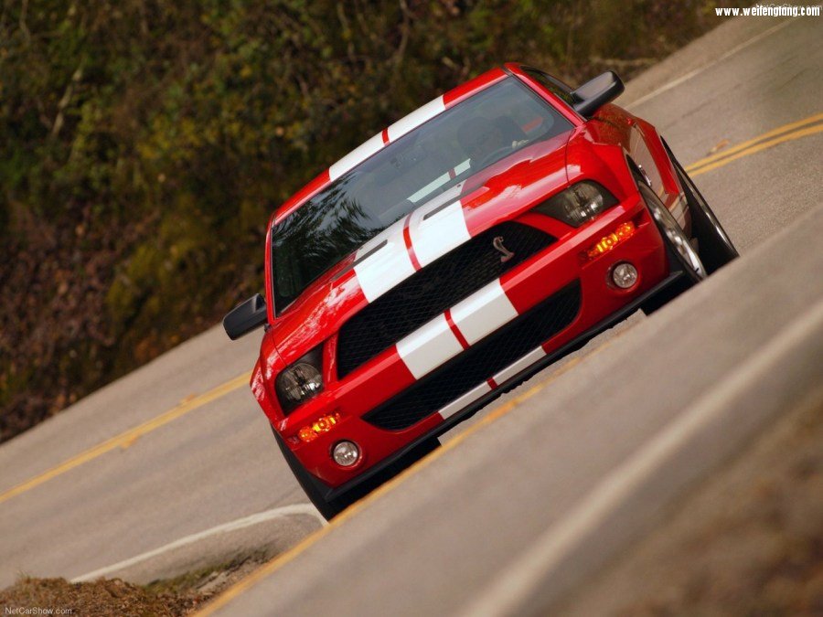 Ford-Mustang_Shelby_GT500-2007-1280-10.jpg