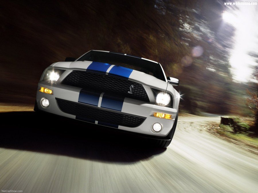 Ford-Mustang_Shelby_GT500-2007-1280-17.jpg