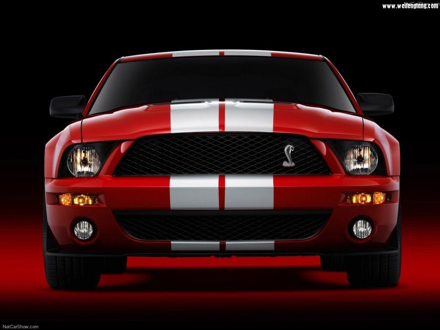 Ford-Mustang_Shelby_GT500-2007-1280-1b.jpg