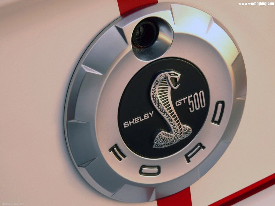 Ford-Mustang_Shelby_GT500-2007-1280-29.jpg