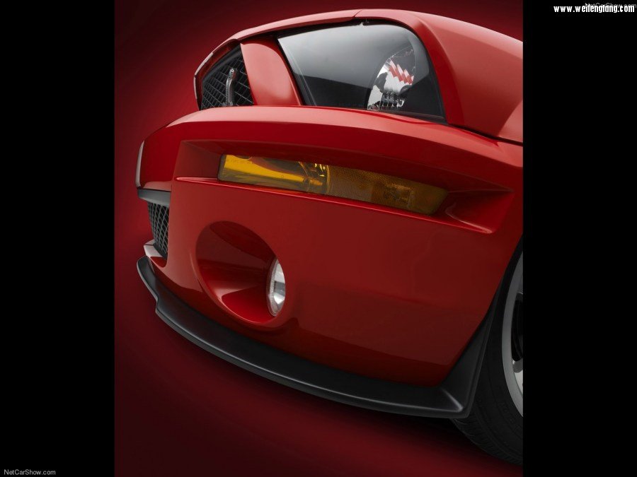 Ford-Mustang_Shelby_GT500-2007-1280-36.jpg