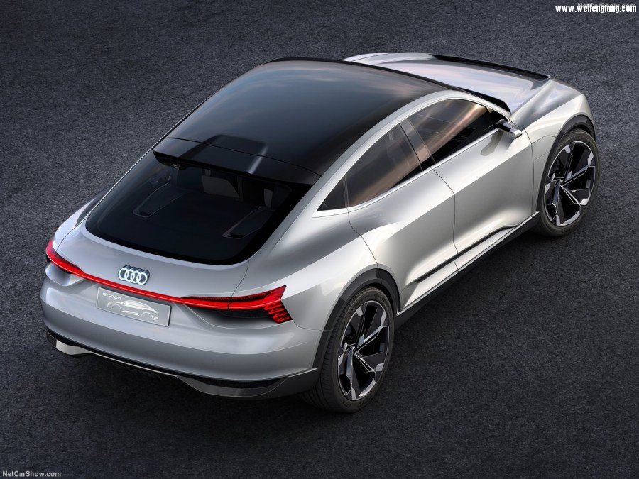 Audi-e-tron_Sportback_Concept-2017-1280-07.jpg