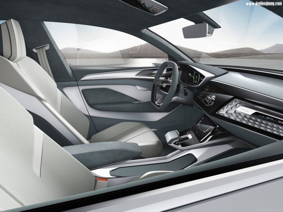 Audi-e-tron_Sportback_Concept-2017-1280-0a.jpg