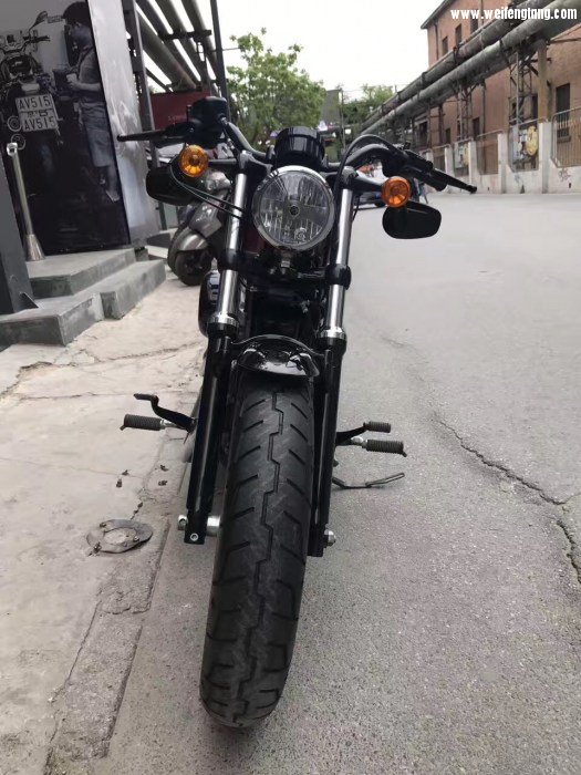 哈雷XL1200 X48 2.jpg