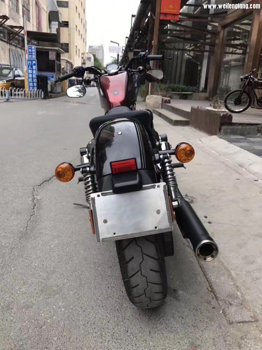 哈雷XL1200 X48 5.jpg