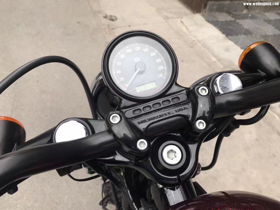 哈雷XL1200 X48 7.jpg