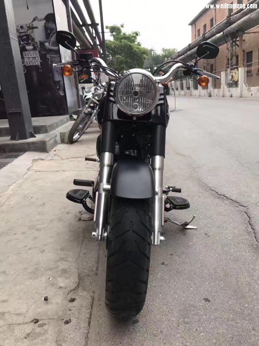 哈雷 Fat boy 肥仔2.jpg