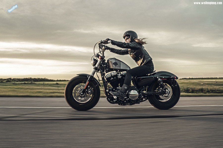 2014-harley-davidson-forty-eight-10-large@x2.jpg