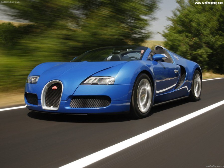 Bugatti-Veyron_Grand_Sport-2009-1280-08.jpg