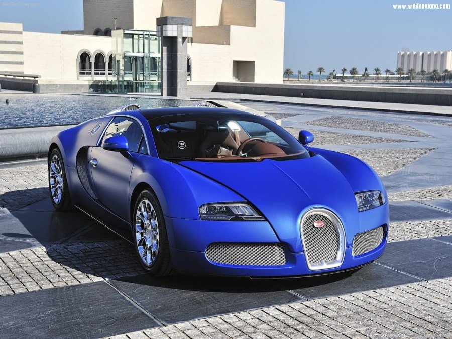 Bugatti-Veyron_Grand_Sport-2009-1280-0a.jpg