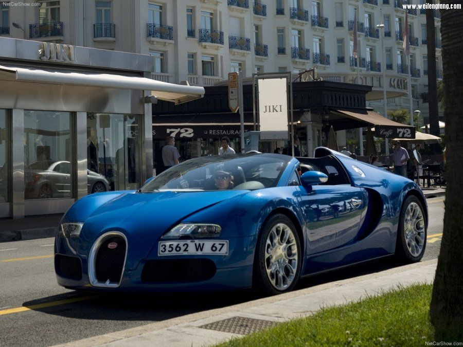 Bugatti-Veyron_Grand_Sport-2009-1280-12.jpg