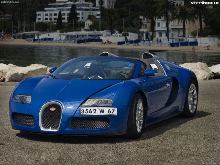 Bugatti-Veyron_Grand_Sport-2009-1280-13.jpg
