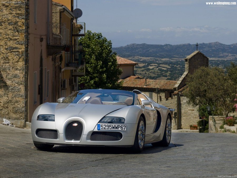 Bugatti-Veyron_Grand_Sport-2009-1280-18.jpg