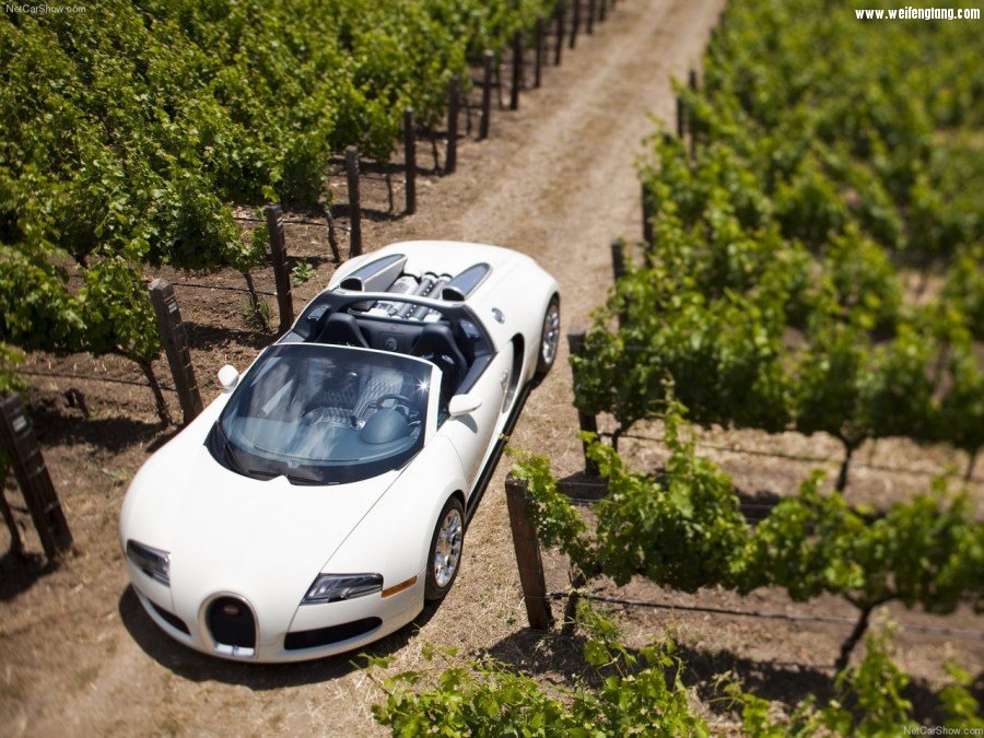 Bugatti-Veyron_Grand_Sport-2009-1280-1a.jpg