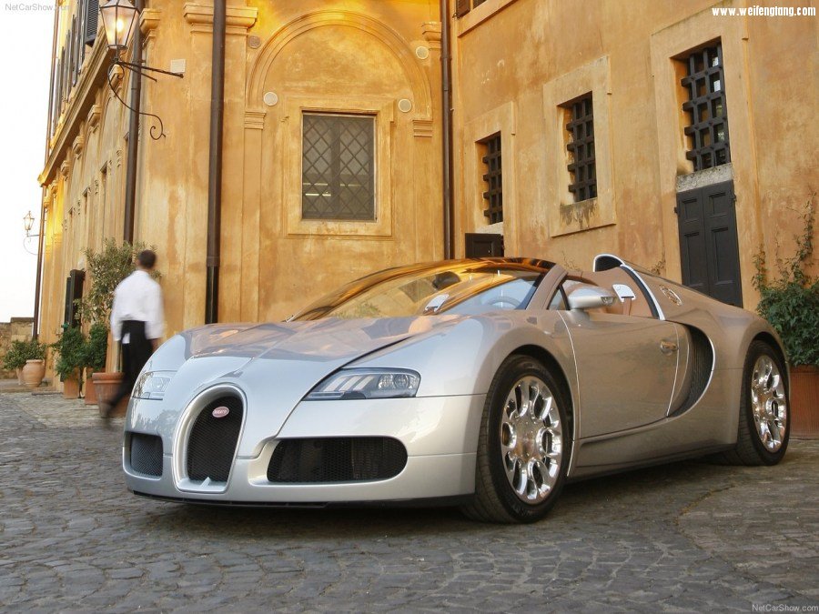 Bugatti-Veyron_Grand_Sport-2009-1280-1c.jpg