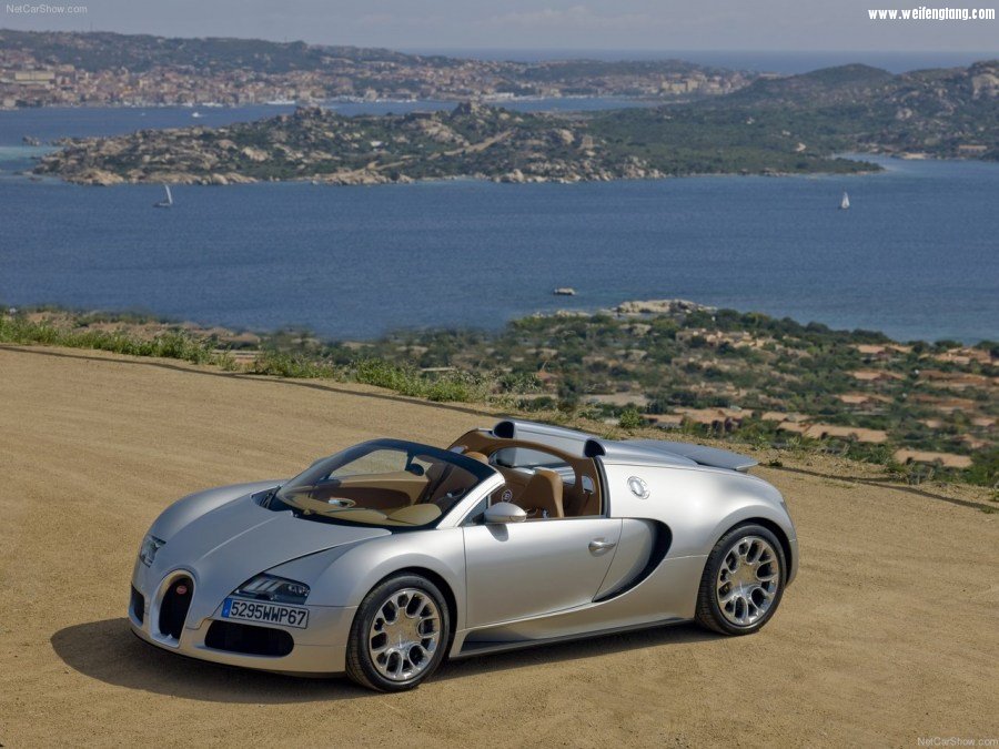 Bugatti-Veyron_Grand_Sport-2009-1280-21.jpg