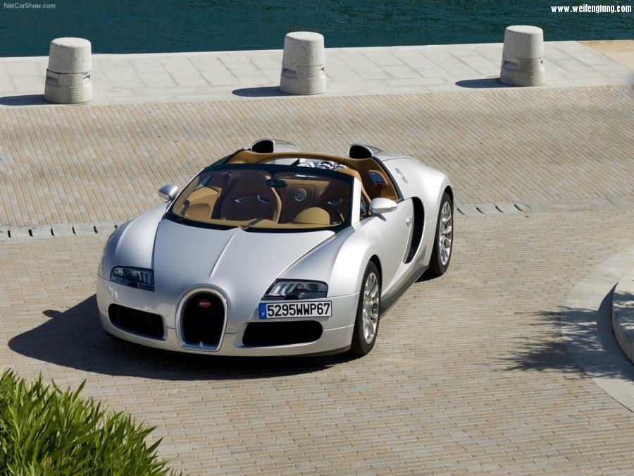 Bugatti-Veyron_Grand_Sport-2009-1280-22.jpg