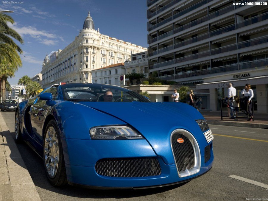 Bugatti-Veyron_Grand_Sport-2009-1280-24.jpg