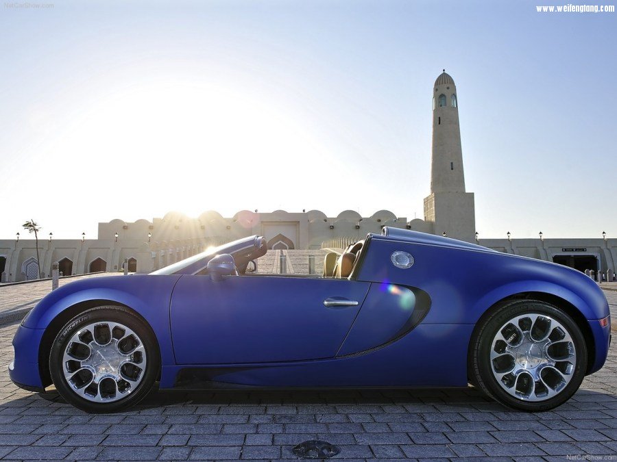 Bugatti-Veyron_Grand_Sport-2009-1280-33.jpg