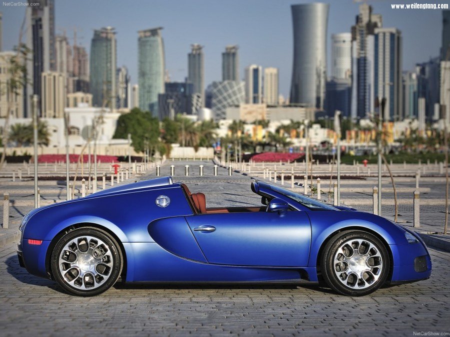 Bugatti-Veyron_Grand_Sport-2009-1280-3a.jpg