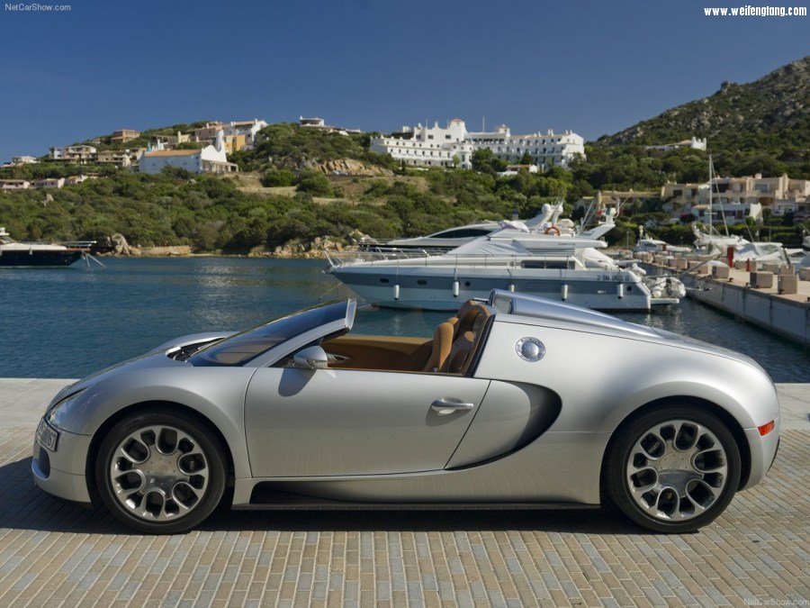 Bugatti-Veyron_Grand_Sport-2009-1280-3d.jpg