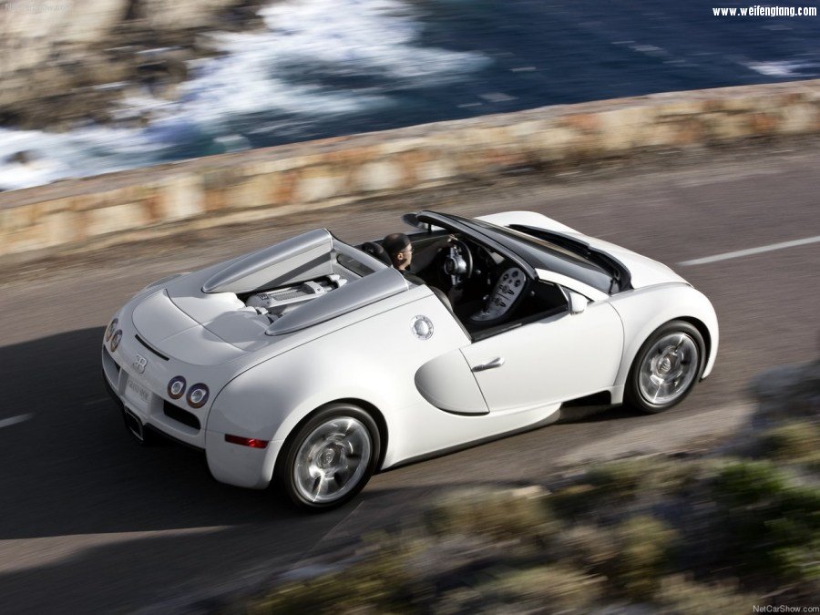Bugatti-Veyron_Grand_Sport-2009-1280-46.jpg