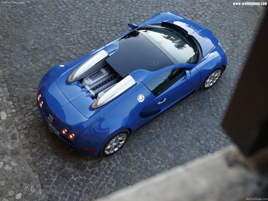 Bugatti-Veyron_Grand_Sport-2009-1280-47.jpg