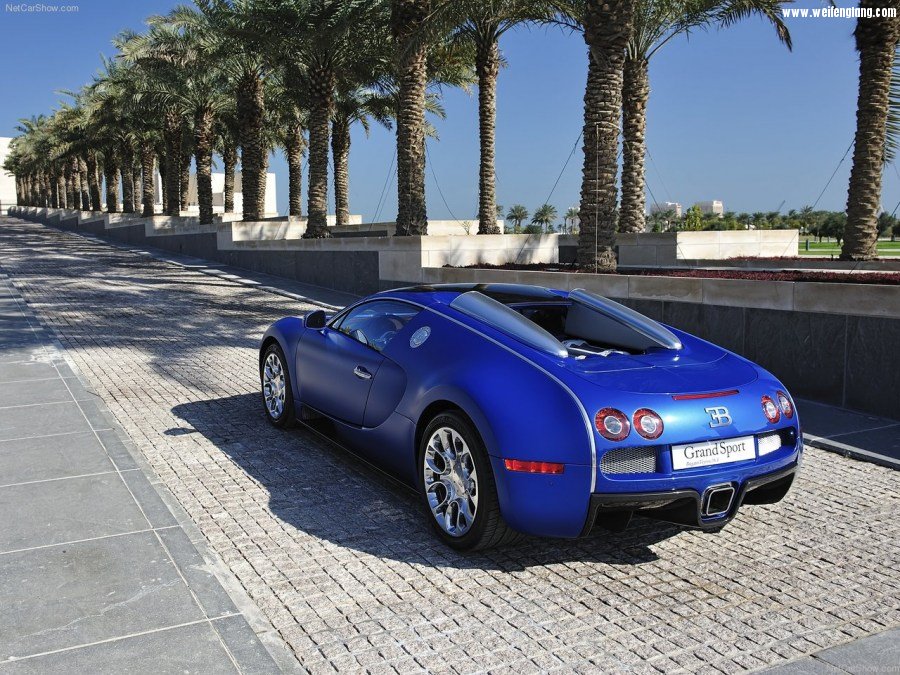 Bugatti-Veyron_Grand_Sport-2009-1280-4d.jpg