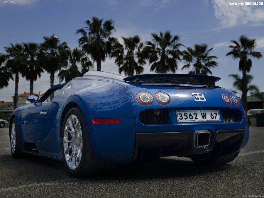 Bugatti-Veyron_Grand_Sport-2009-1280-4e.jpg