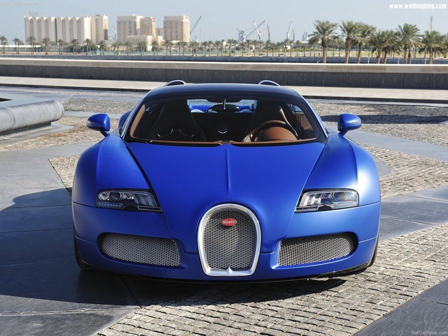 Bugatti-Veyron_Grand_Sport-2009-1280-50.jpg
