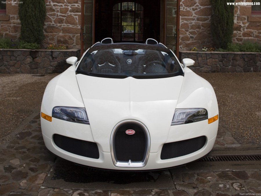 Bugatti-Veyron_Grand_Sport-2009-1280-51.jpg