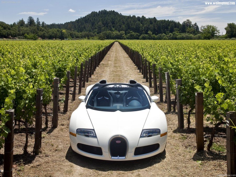 Bugatti-Veyron_Grand_Sport-2009-1280-52.jpg