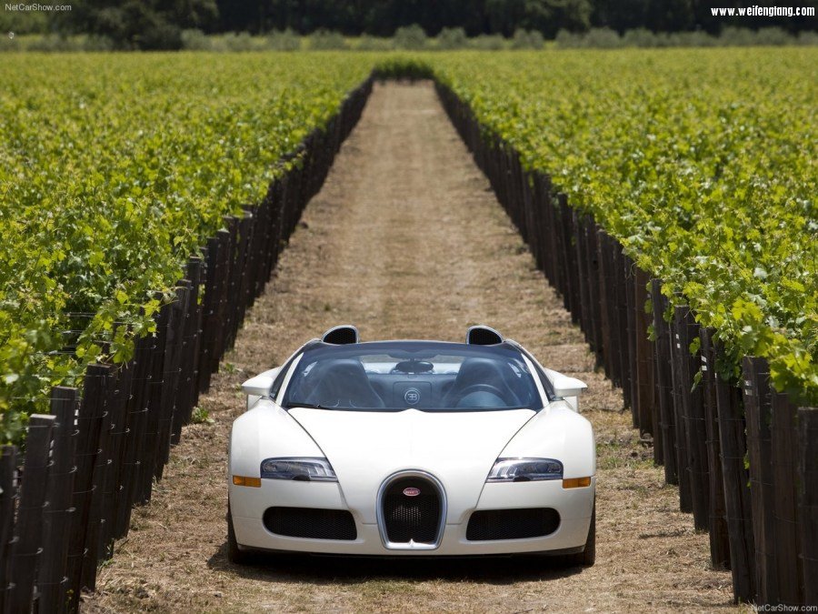 Bugatti-Veyron_Grand_Sport-2009-1280-54.jpg