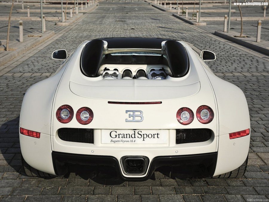 Bugatti-Veyron_Grand_Sport-2009-1280-59.jpg