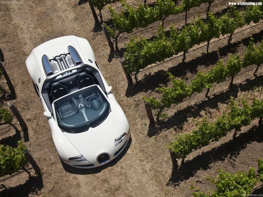 Bugatti-Veyron_Grand_Sport-2009-1280-5e.jpg