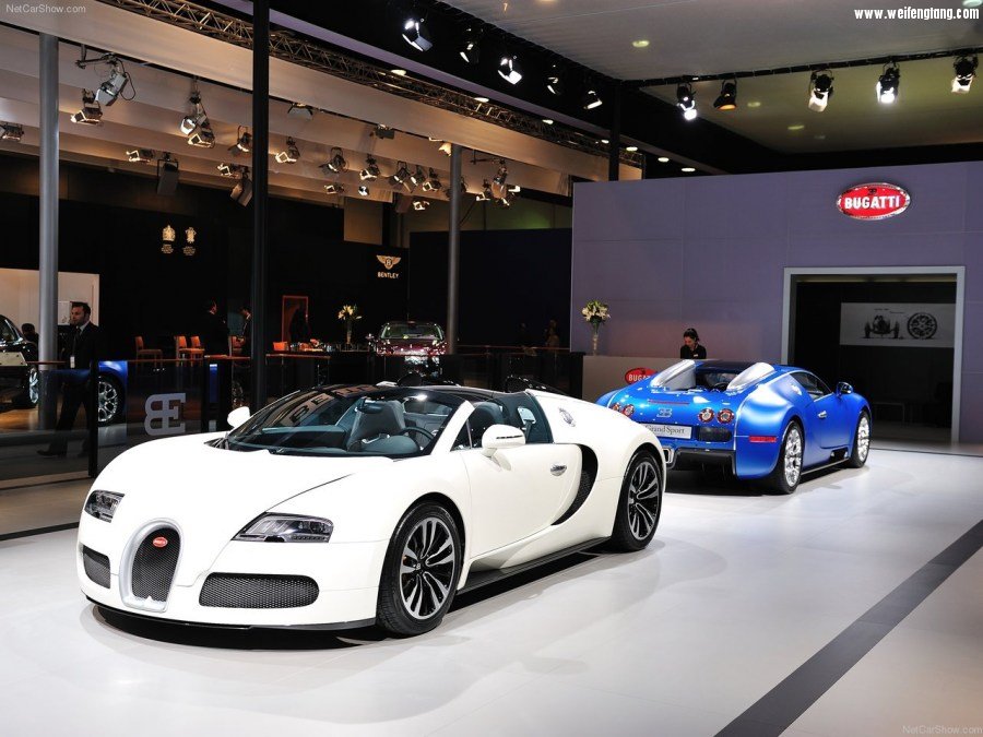 Bugatti-Veyron_Grand_Sport-2009-1280-62.jpg